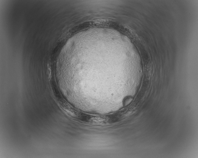 X0000074930703200609221639