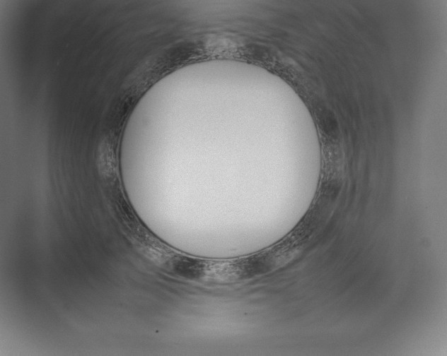 X0000074930705200609221639