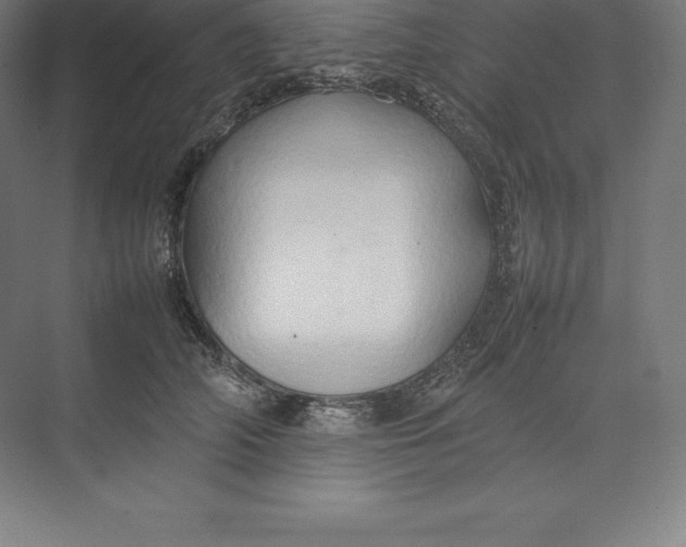 X0000074930706200609221639