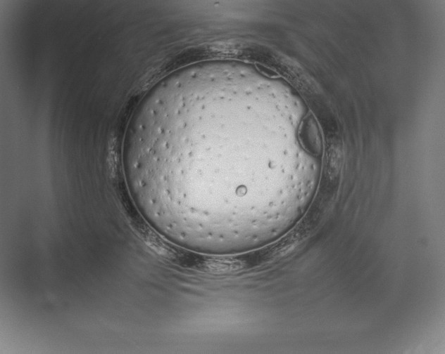 X0000074930707200609221639