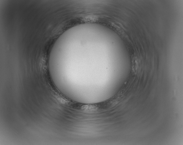 X0000074930714200609221639