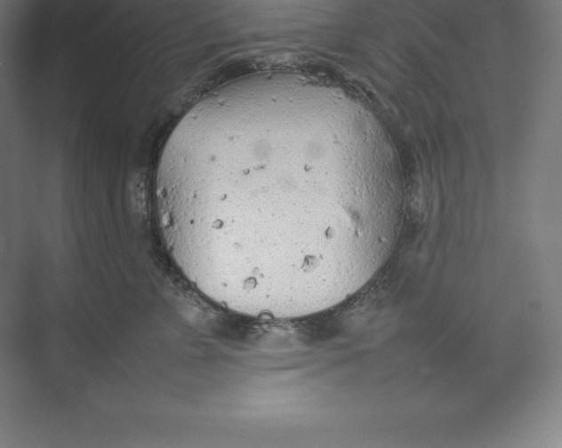 X0000074930715200609221639