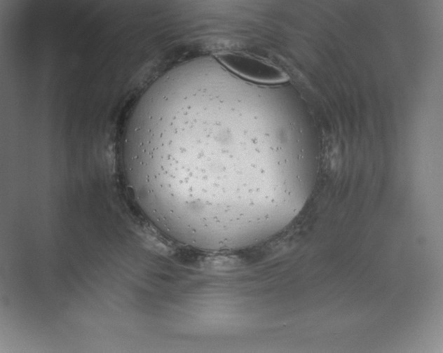 X0000074930716200609221639