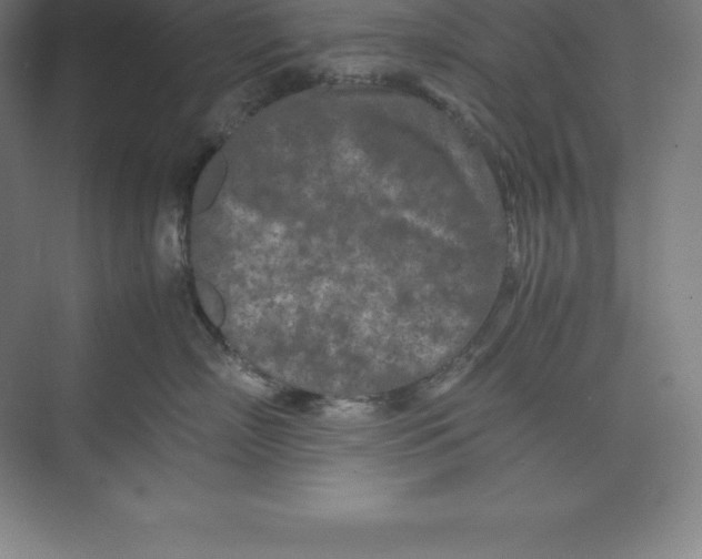 X0000074930718200609221639