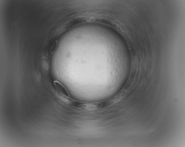 X0000074930719200609221639