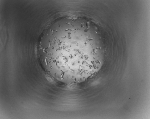 X0000074930720200609221639