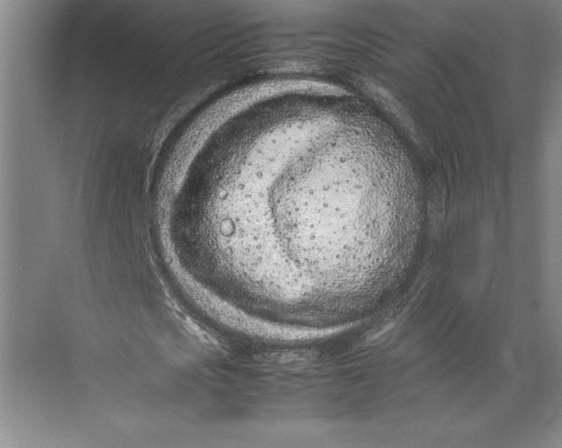 X0000074930721200609221638