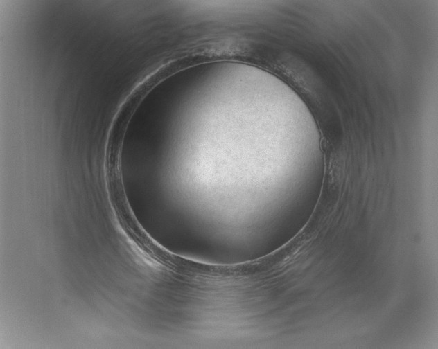 X0000074930722200609221638