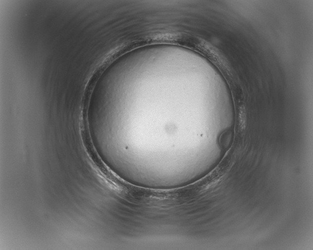 X0000074930725200609221638