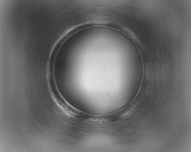 X0000074930726200609221638