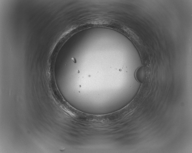 X0000074930727200609221638