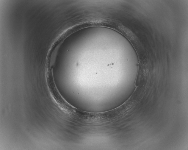 X0000074930728200609221638