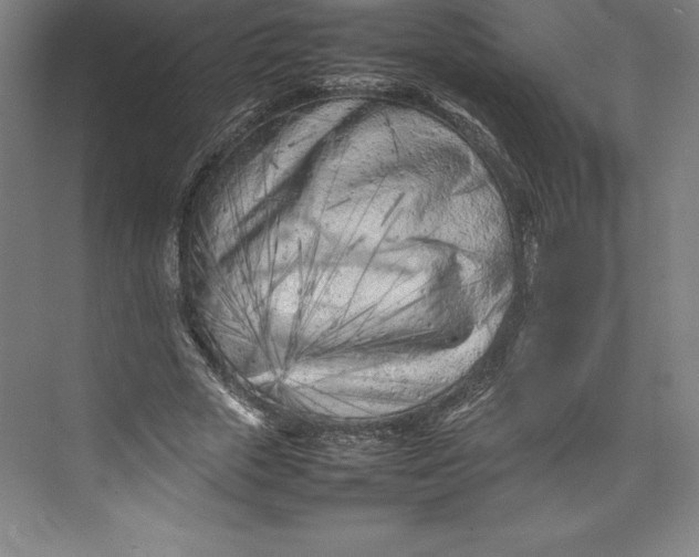 X0000074930729200609221638