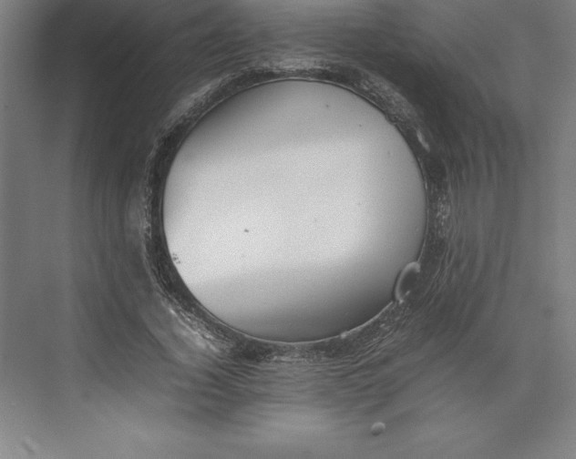 X0000074930732200609221638