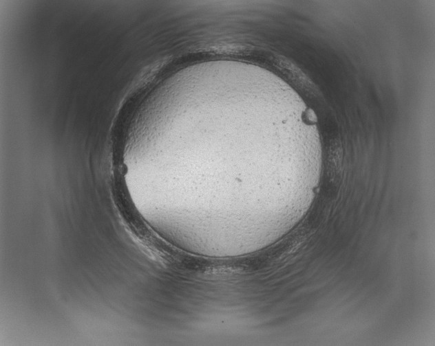 X0000074930734200609221638