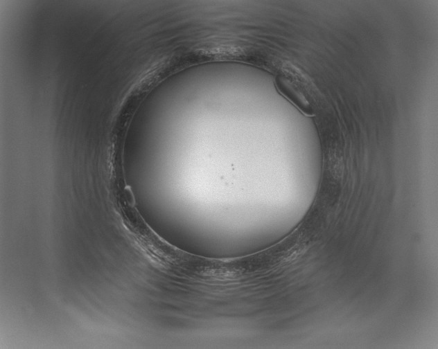 X0000074930735200609221638