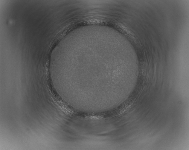 X0000074930737200609221638