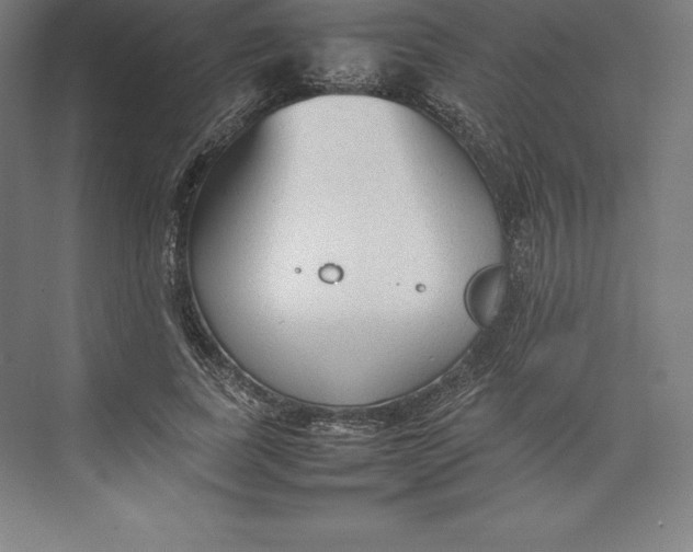 X0000074930739200609221638