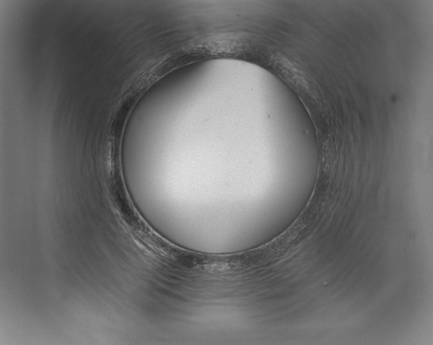 X0000074930740200609221638