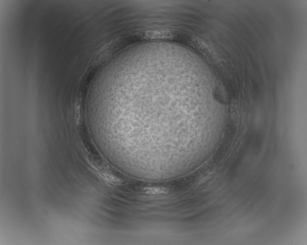 X0000074930741200609221638