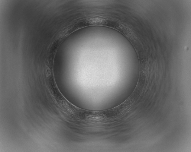 X0000074930743200609221638