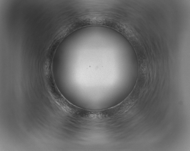 X0000074930744200609221638