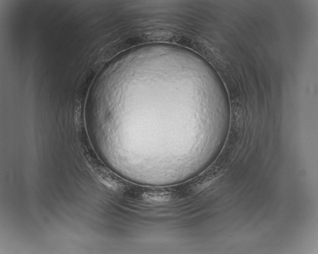 X0000074930745200609221638