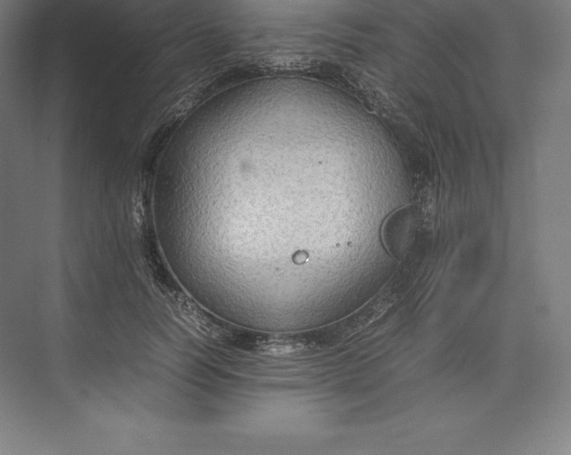 X0000074930746200609221638