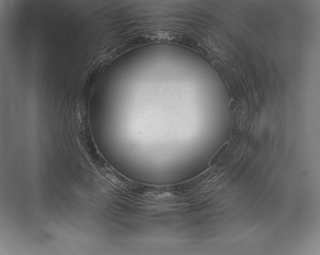 X0000074930747200609221638