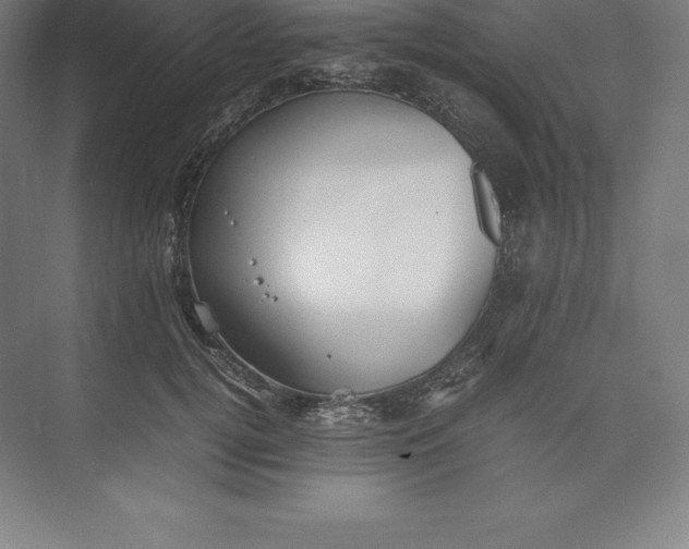 X0000074930752200609221638