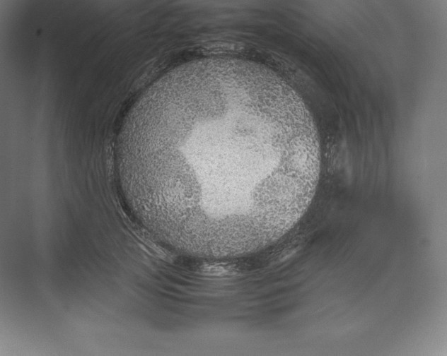 X0000074930753200609221638