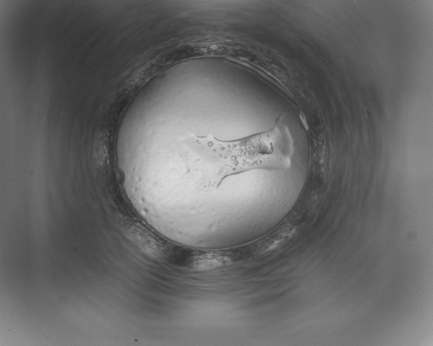 X0000074930754200609221639