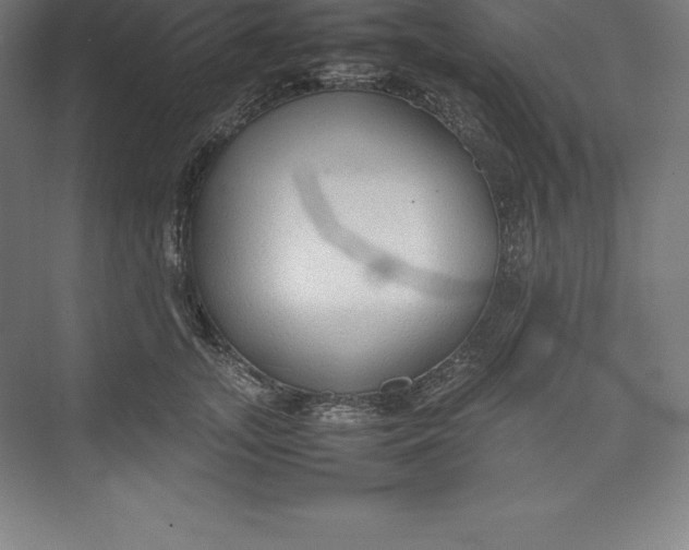 X0000074930755200609221639