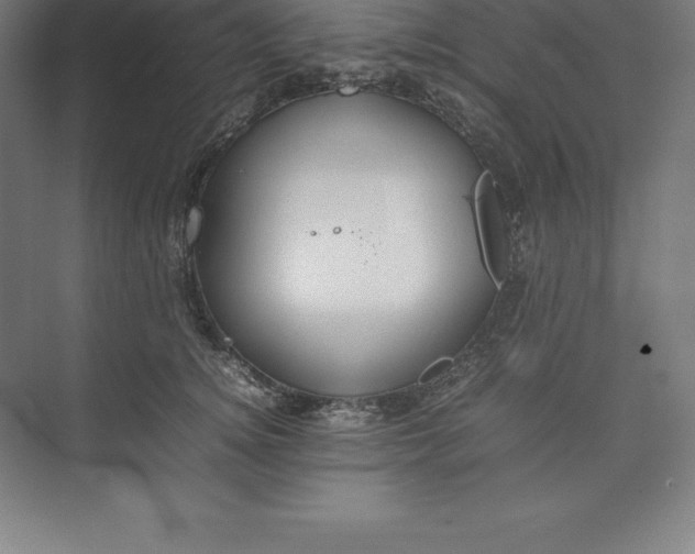 X0000074930756200609221639