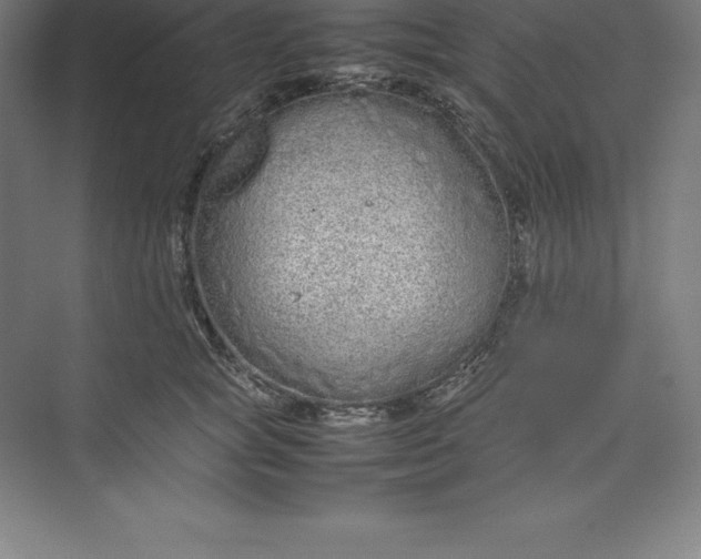 X0000074930757200609221639