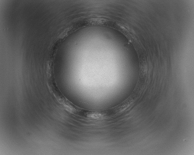 X0000074930759200609221639