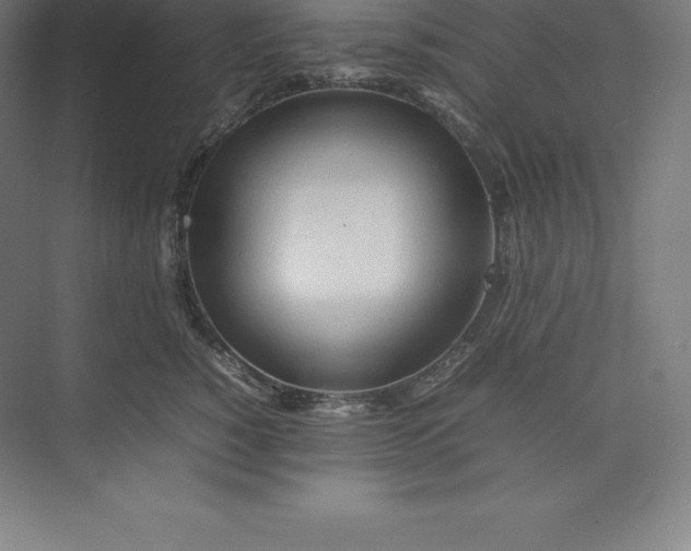 X0000074930760200609221639