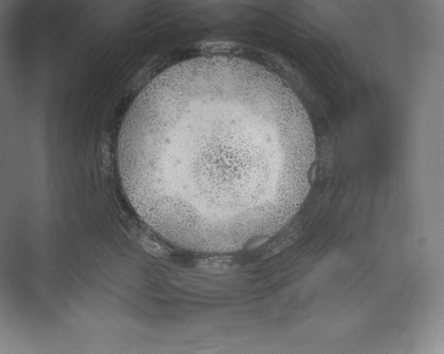 X0000074930761200609221639