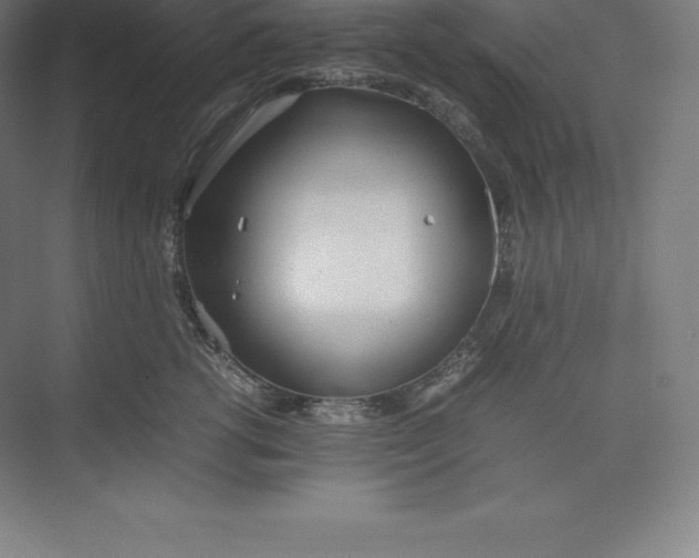 X0000074930762200609221639