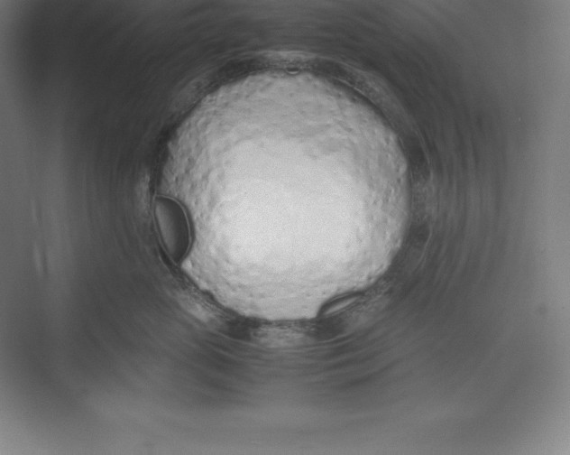 X0000074930765200609221639