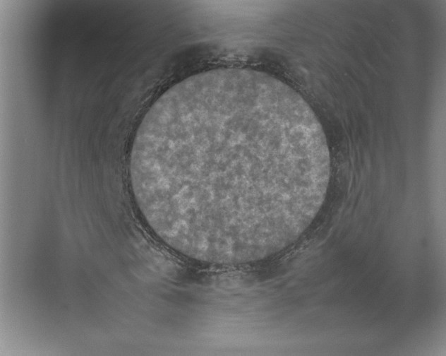 X0000074930769200609221638