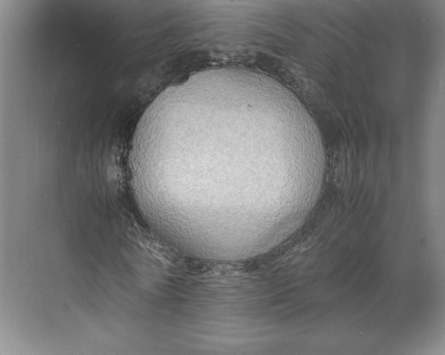 X0000074930770200609221638