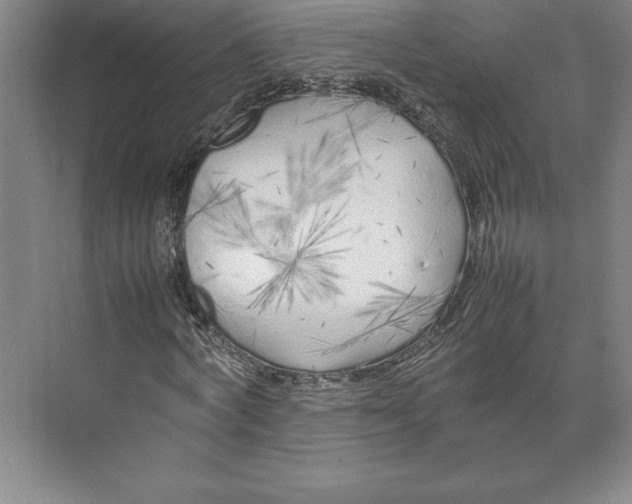 X0000074930772200609221638