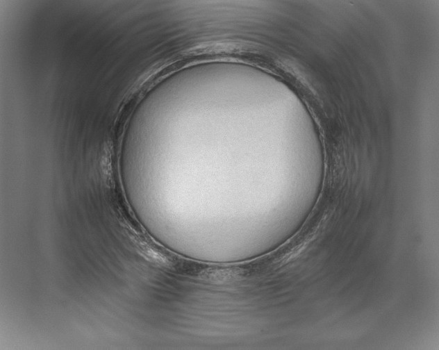 X0000074930778200609221638