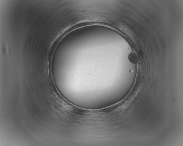 X0000074930781200609221638