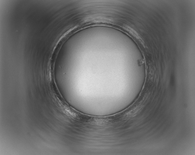 X0000074930782200609221638