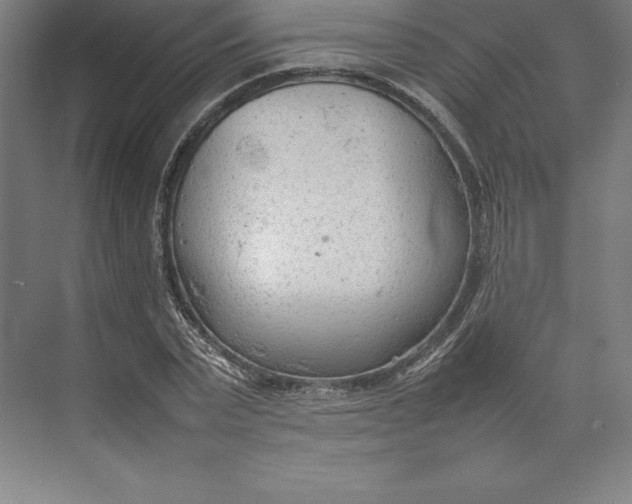 X0000074930783200609221638