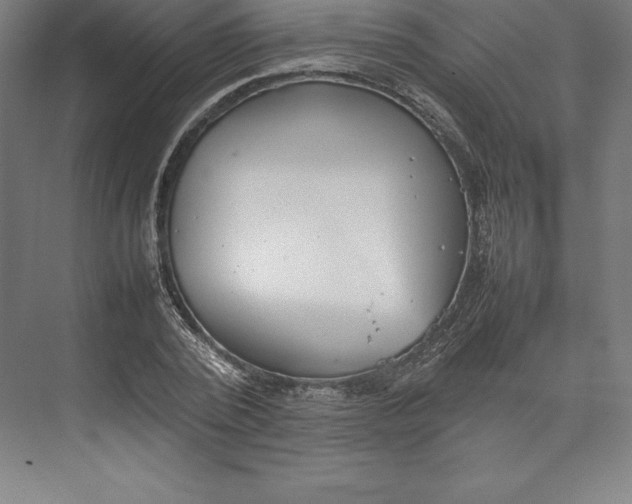 X0000074930784200609221638