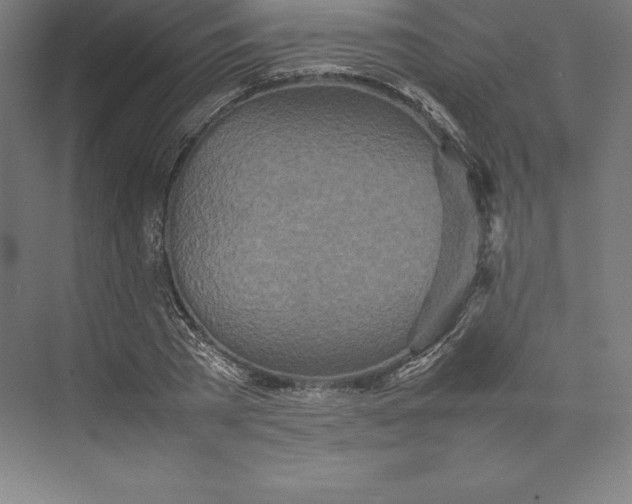 X0000074930785200609221638