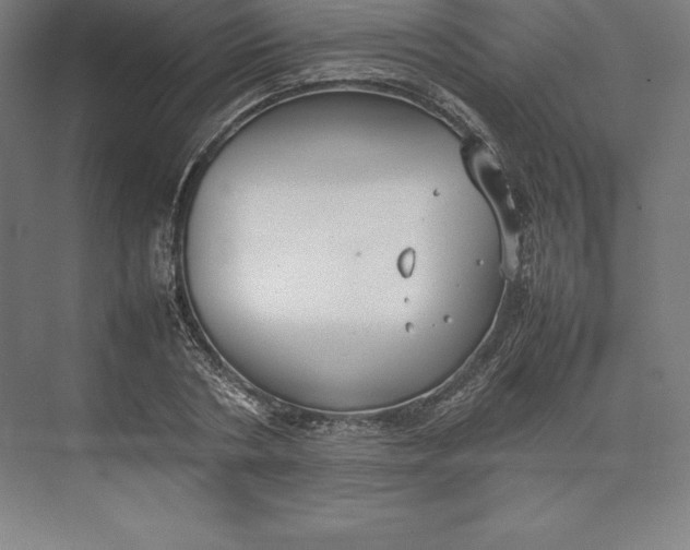 X0000074930786200609221638